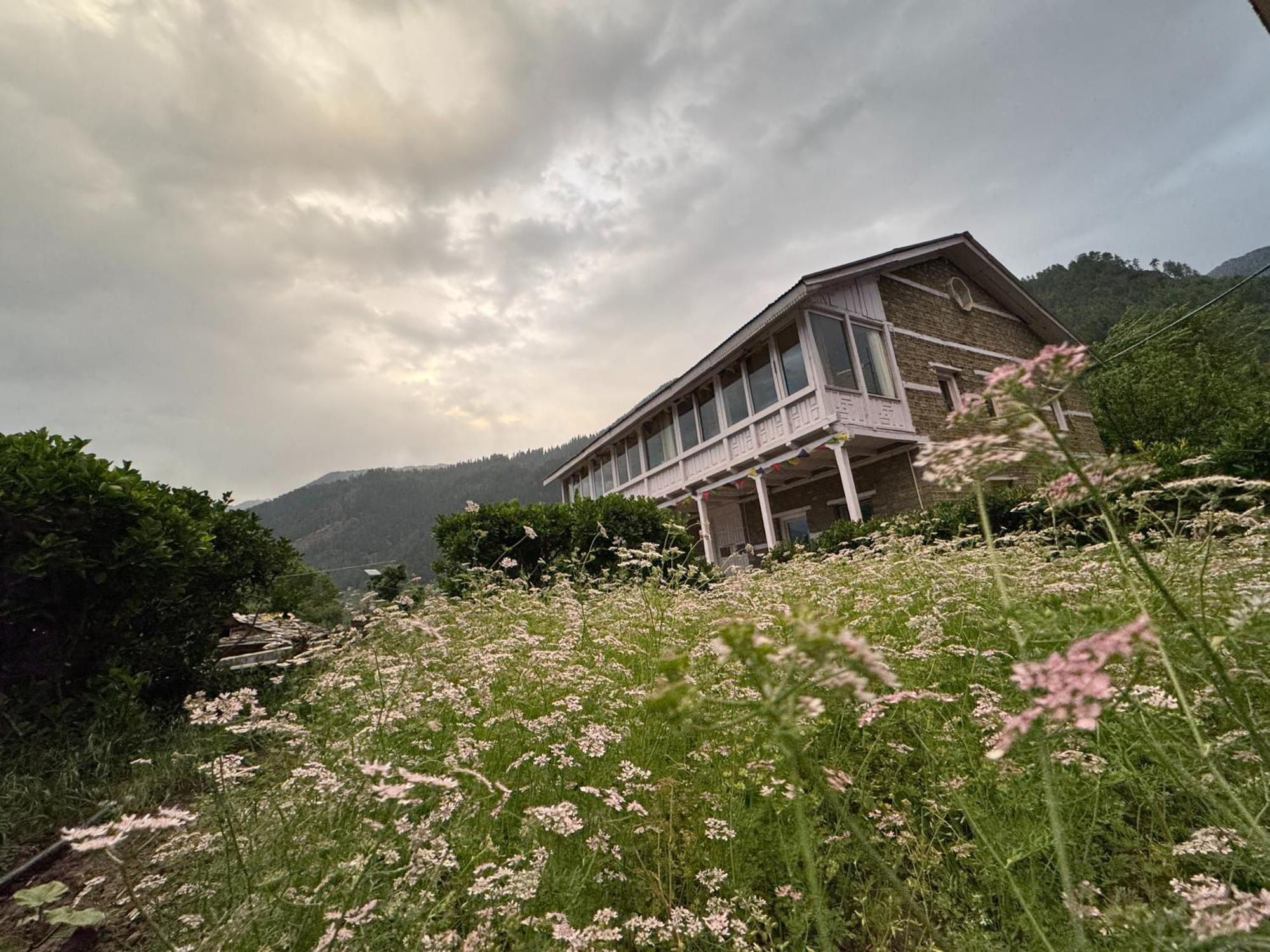 Homestay Pahadi Basera